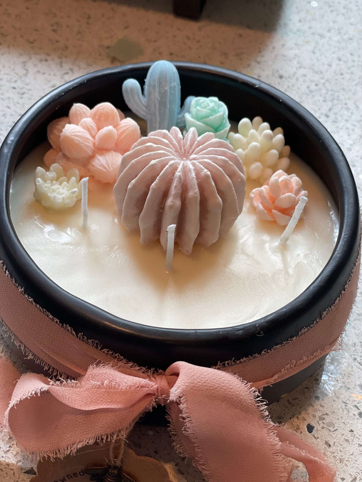 Mahogany Apple 16oz Black Succulent Candle