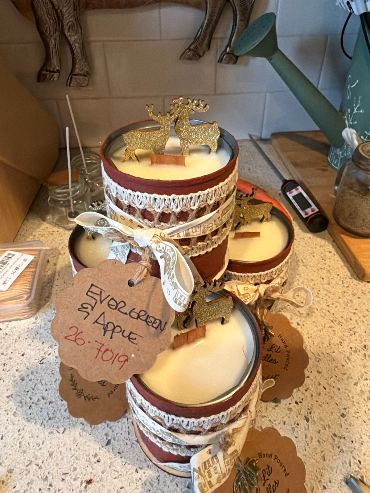 Evergreen & Apple CANdle 9oz